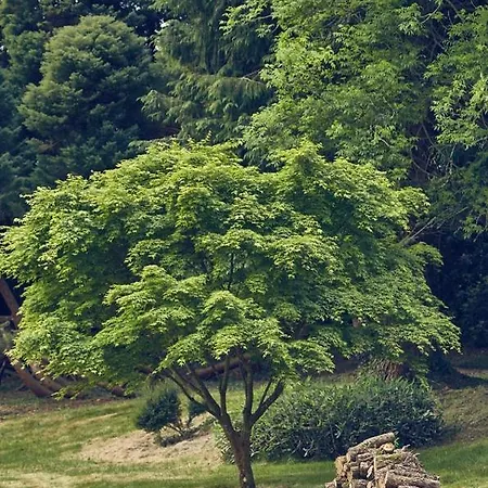 Le Jardin Saint Germain Lodges And Events Plogastel-Saint-Germain Esterno foto