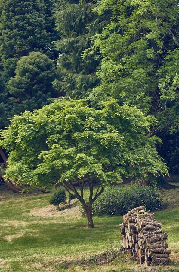 Le Jardin Saint Germain And Events *
